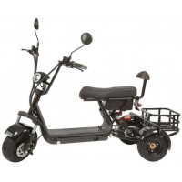 Электроскутер CityCoco TRIKE GT-X3 PRO mini