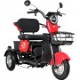 Электрический трицикл IKINGI Trike