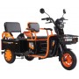 Трицикл Kugoo T3