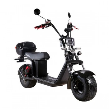 Электроскутер SKYBOARD BR20-2WD PRO