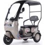 Электротрицикл SmartBalance VENTURE