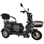 Электротрицикл SMD TRIKE