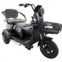 Электротрицикл Green T10 в Витебске