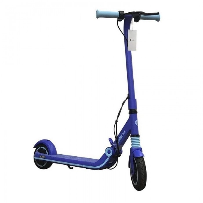 Электросамокат Ninebot eKickscooter Zing E8 в Витебске