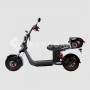 Электроскутер SKYBOARD BR20-3000 PRO в Витебске