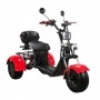 Электроскутер SKYBOARD TRIKE BR40-3000 PRO в Витебске