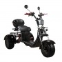 Электроскутер SKYBOARD TRIKE BR40-3000 PRO в Витебске