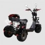 Электроскутер SKYBOARD TRIKE BR40-3000 PRO в Витебске