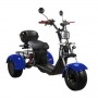 Электроскутер SKYBOARD TRIKE BR40-3000 PRO в Витебске