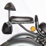 Электроскутер SKYBOARD TRIKE CHOPPER-4000 PRO FAST в Витебске