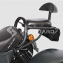 Электроскутер SKYBOARD TRIKE CHOPPER-4000 PRO FAST в Витебске