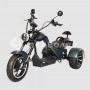 Электроскутер SKYBOARD TRIKE CHOPPER-4000 PRO FAST в Витебске