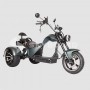 Электроскутер SKYBOARD TRIKE CHOPPER-4000 PRO FAST в Витебске