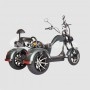 Электроскутер SKYBOARD TRIKE CHOPPER-4000 PRO FAST в Витебске