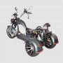 Электроскутер SKYBOARD TRIKE CHOPPER-4000 PRO FAST в Витебске